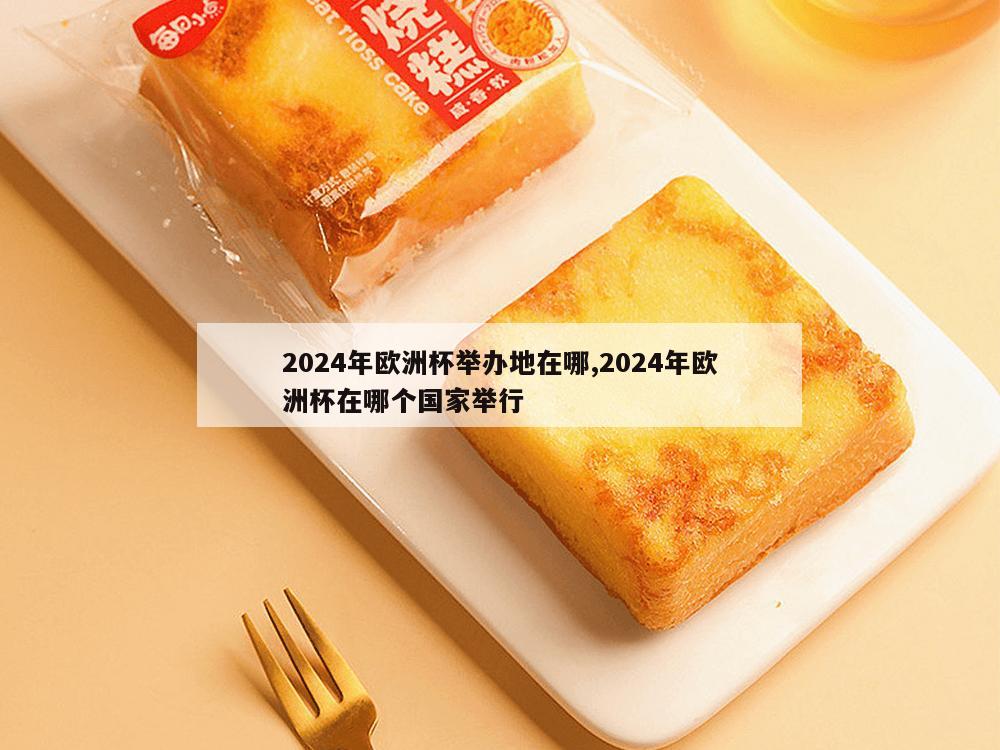 2024年欧洲杯举办地在哪,2024年欧洲杯在哪个国家举行