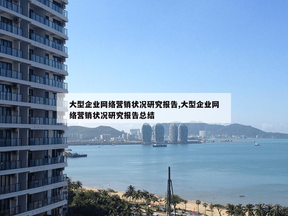 大型企业网络营销状况研究报告,大型企业网络营销状况研究报告总结