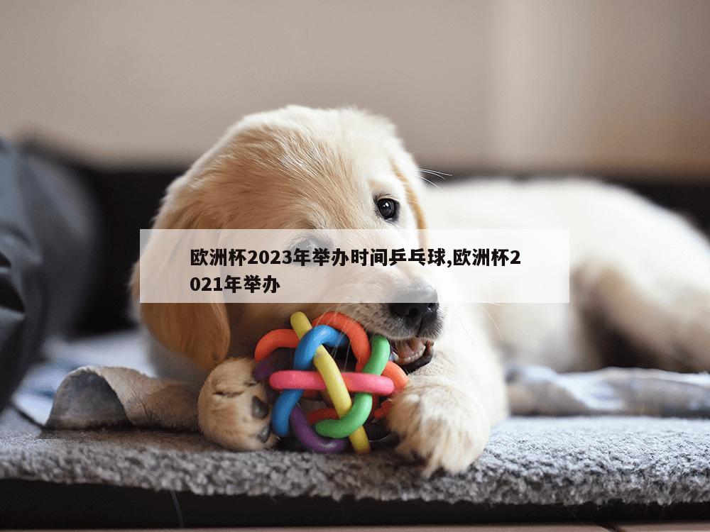 欧洲杯2023年举办时间乒乓球,欧洲杯2021年举办