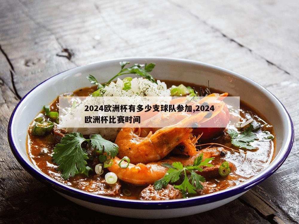 2024欧洲杯有多少支球队参加,2024欧洲杯比赛时间