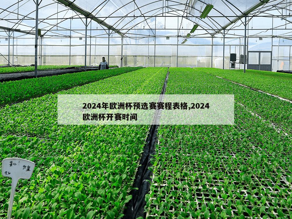 2024年欧洲杯预选赛赛程表格,2024欧洲杯开赛时间