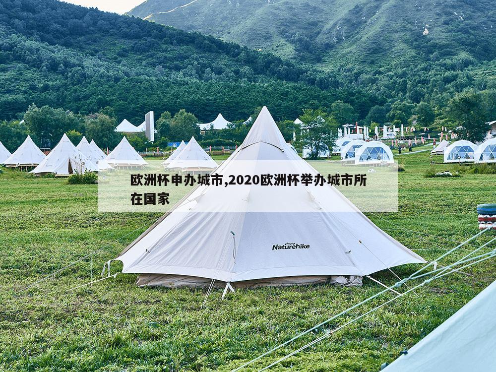 欧洲杯申办城市,2020欧洲杯举办城市所在国家