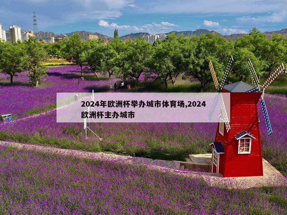 2024年欧洲杯举办城市体育场,2024欧洲杯主办城市