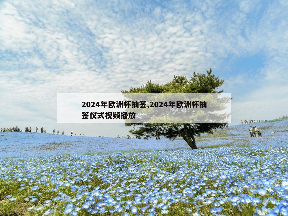 2024年欧洲杯抽签,2024年欧洲杯抽签仪式视频播放