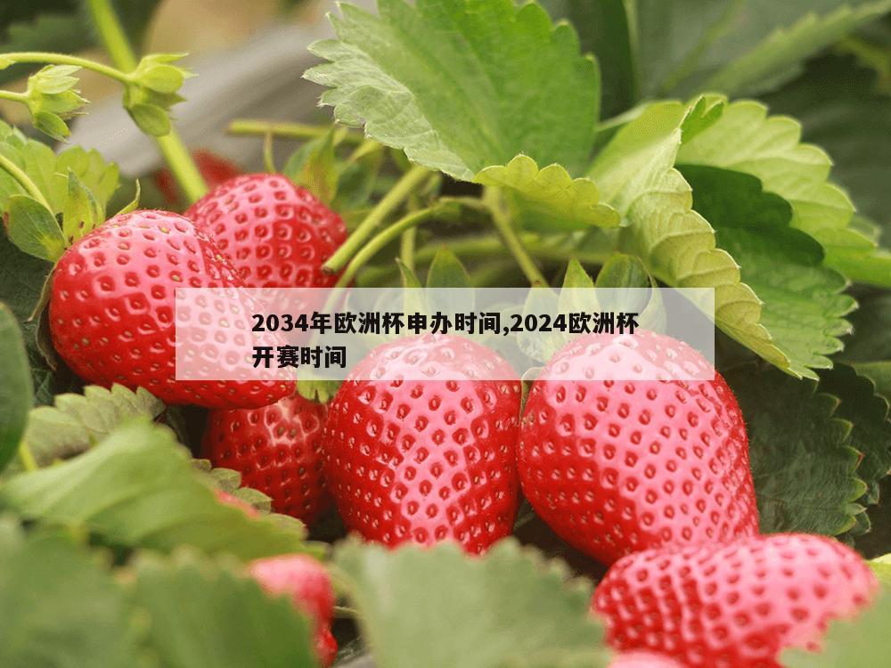 2034年欧洲杯申办时间,2024欧洲杯开赛时间