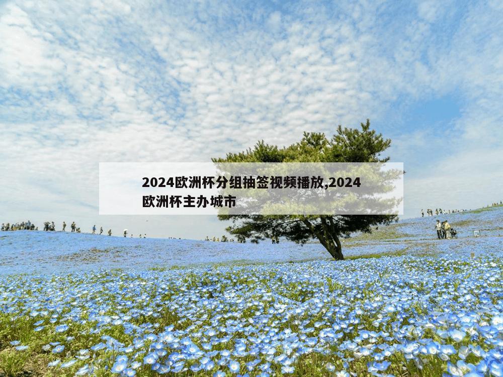 2024欧洲杯分组抽签视频播放,2024欧洲杯主办城市