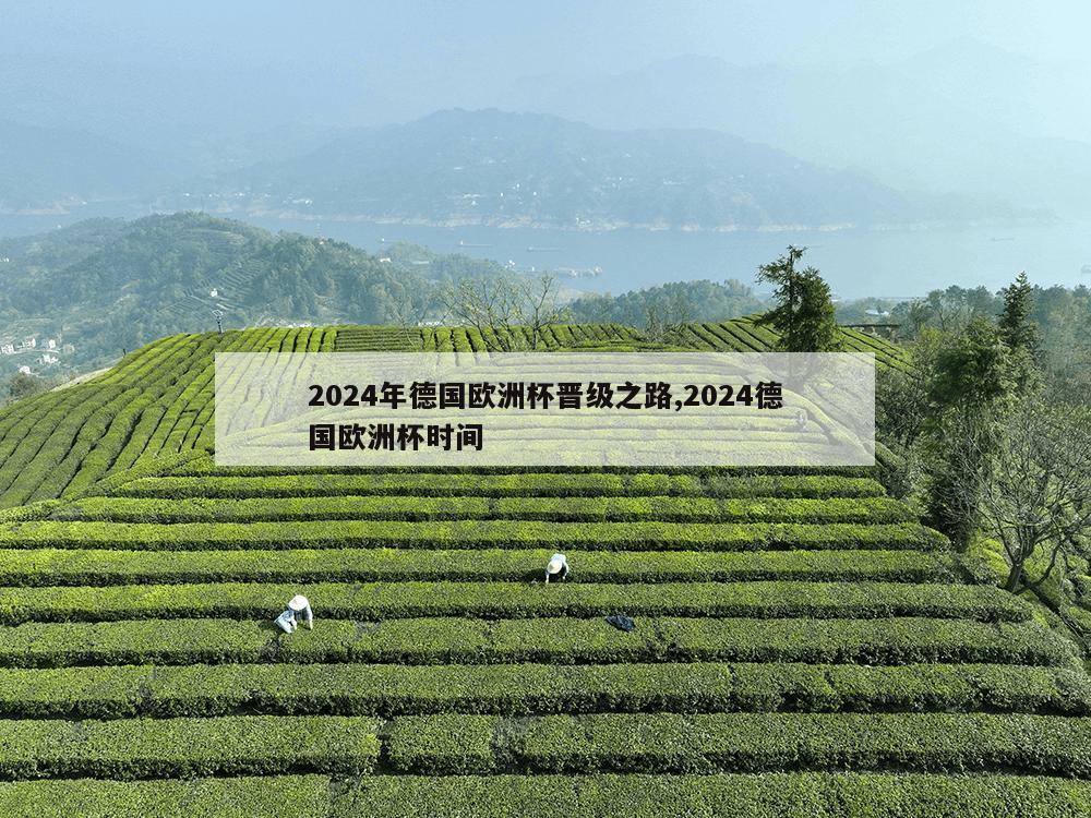 2024年德国欧洲杯晋级之路,2024德国欧洲杯时间