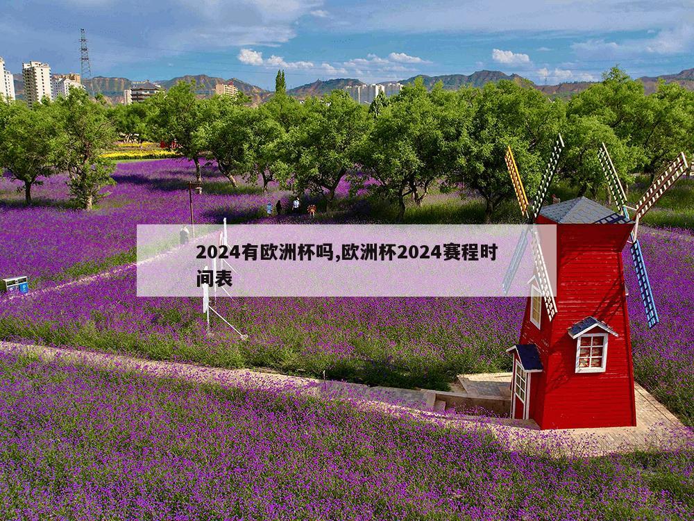 2024有欧洲杯吗,欧洲杯2024赛程时间表