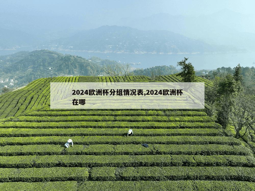 2024欧洲杯分组情况表,2024欧洲杯在哪