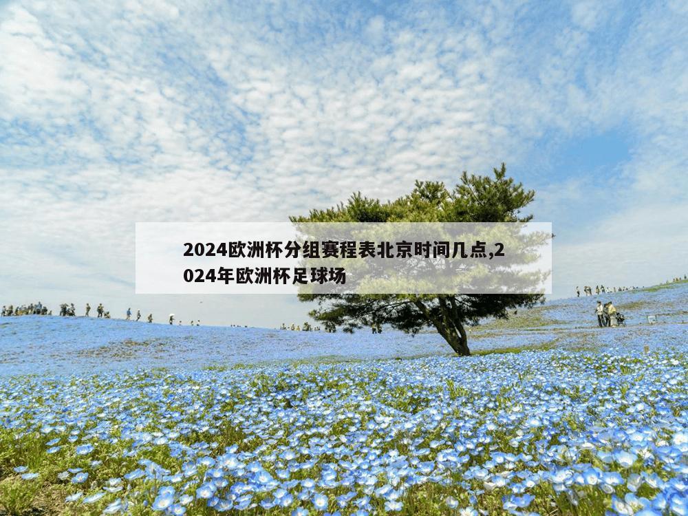 2024欧洲杯分组赛程表北京时间几点,2024年欧洲杯足球场